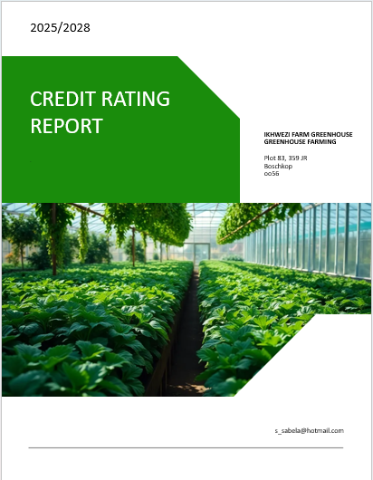 Credit Rating Report